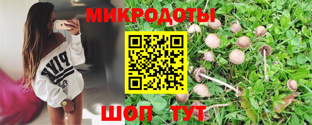 Галлюциногенные грибы MAGIC MUSHROOMS Новодвинск